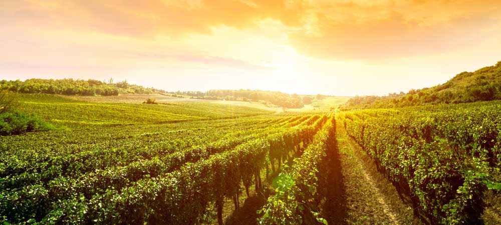 Passeio pela Borgonha